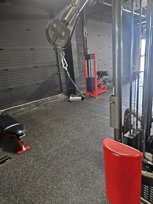 ProMuscle Lifting Club Picture 3