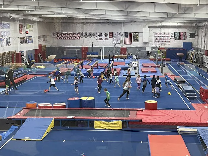 The Victors Gymnastics Training Center LLC Picture 7