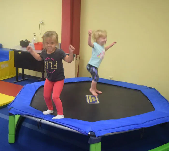 The Victors Gymnastics Training Center LLC Picture 9
