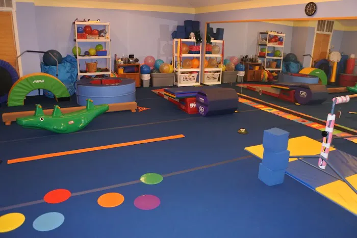 The Victors Gymnastics Training Center LLC Picture 4