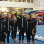 The Victors Gymnastics Training Center LLC