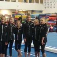 The Victors Gymnastics Training Center LLC ico
