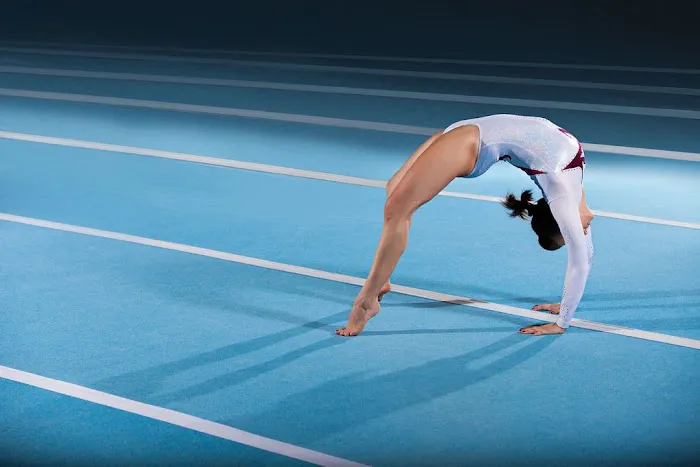 Palaestra Gymnastics Academy Picture 1
