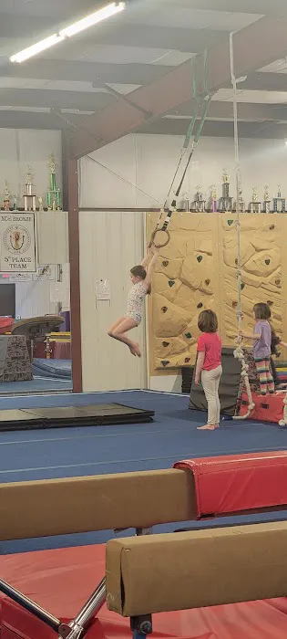 Twisters Gymnastics Academy BROOKFIELD Picture 8