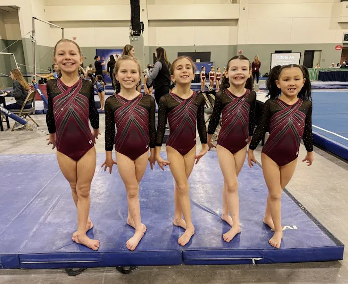 Twisters Gymnastics Academy BROOKFIELD Picture 7