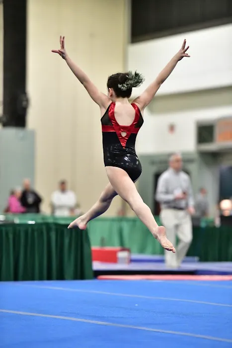 Twisters Gymnastics Academy BROOKFIELD Picture 1