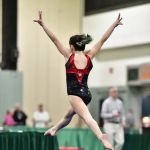 Twisters Gymnastics Academy BROOKFIELD