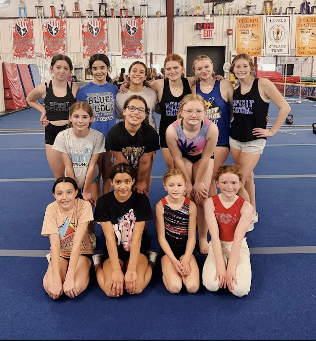 Twisters Gymnastics Academy BROOKFIELD Picture 10