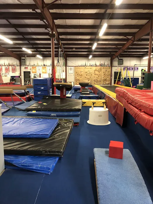 Twisters Gymnastics Academy BROOKFIELD Picture 3