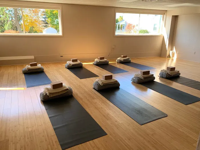 Third Eye Yoga Collective Picture 3