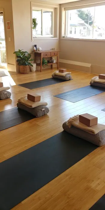 Third Eye Yoga Collective Picture 10