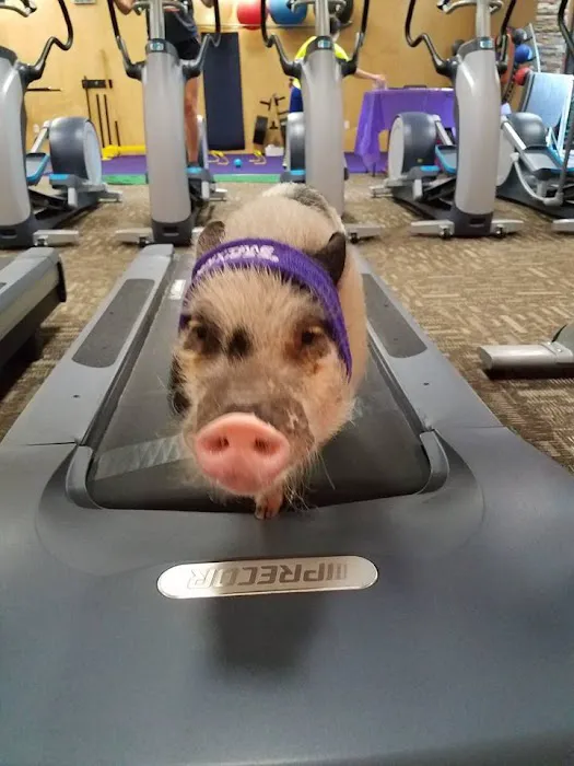Anytime Fitness Picture 9