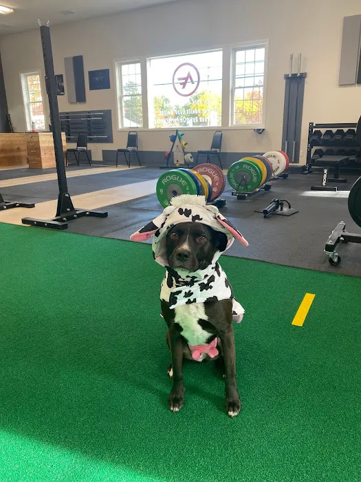 Arkitect Fitness (Tyngsboro) | GYM & Personal Training Tyngsboro MA Picture 10