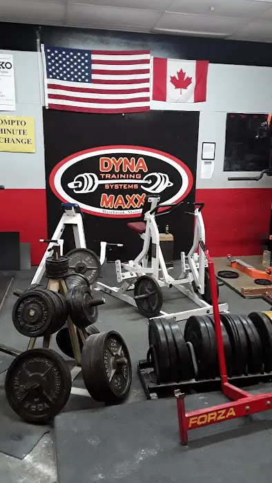 DYNA MAXX Picture 2