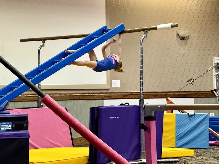 Wildcats Gymnastics Picture 1