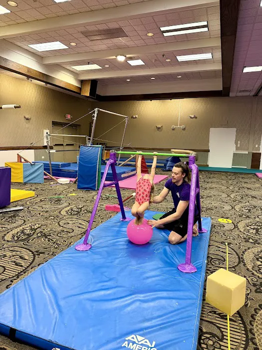 Wildcats Gymnastics Picture 4