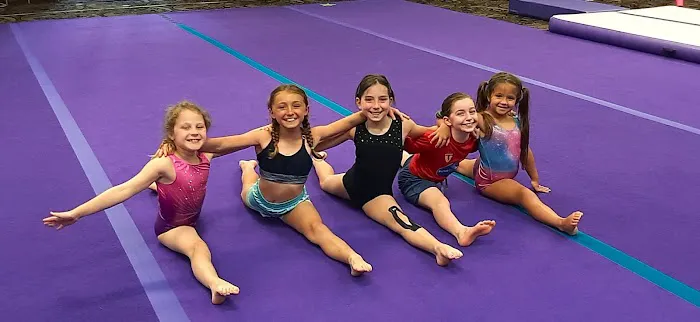 Wildcats Gymnastics Picture 6