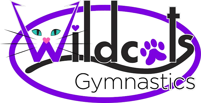 Wildcats Gymnastics Picture 7
