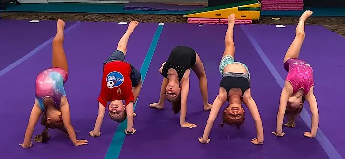 Wildcats Gymnastics Picture 9