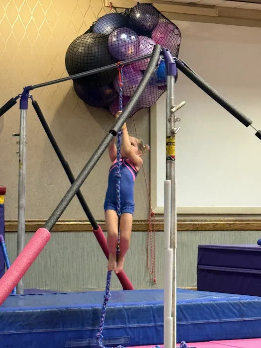 Wildcats Gymnastics Picture 3