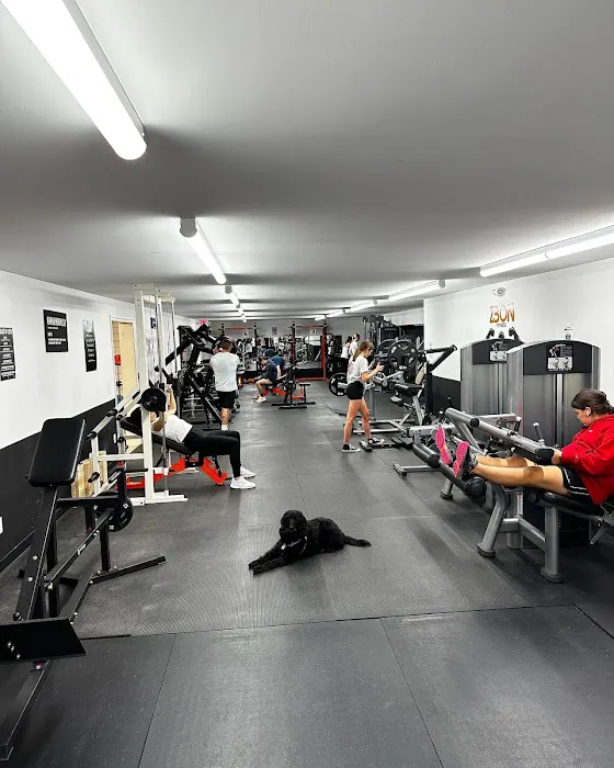 Zbon Fitness Picture 4