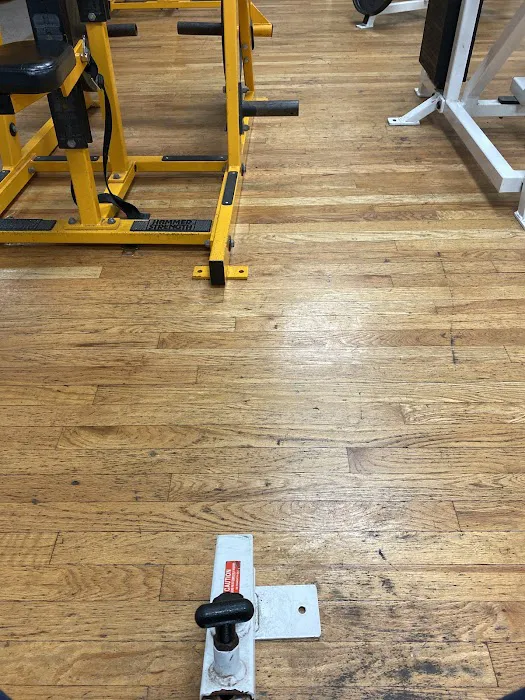 The Gym Picture 8