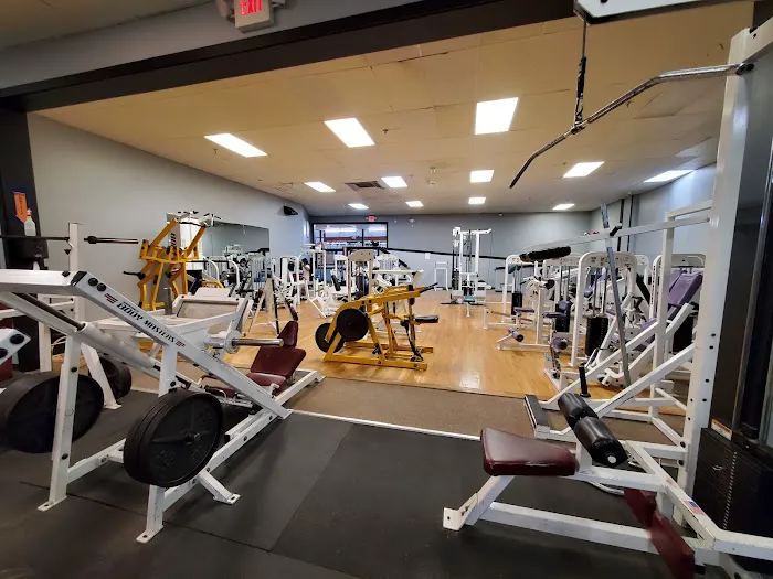 The Gym Picture 4