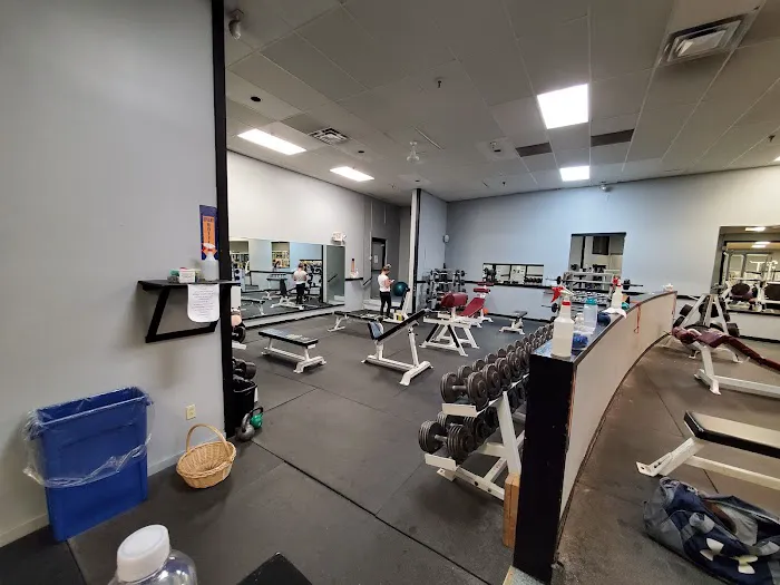 The Gym Picture 6