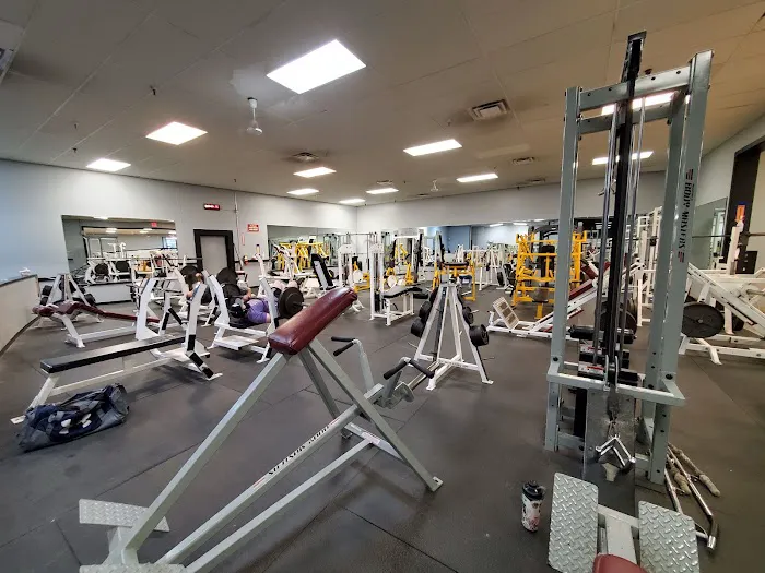 The Gym Picture 5