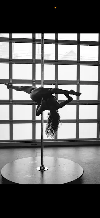 Metal Muse Aerial Fitness Picture 2