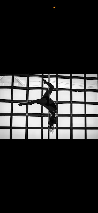 Metal Muse Aerial Fitness Picture 1