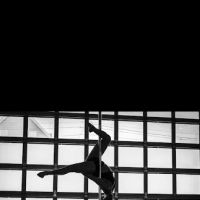 Metal Muse Aerial Fitness ico