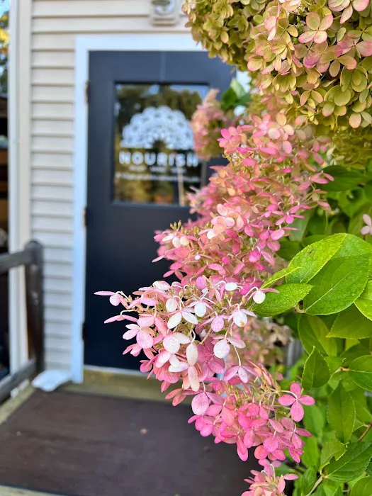 Nourish BodyMindSoul: A Classical Yoga Studio and Yoga Therapy Collective Picture 8