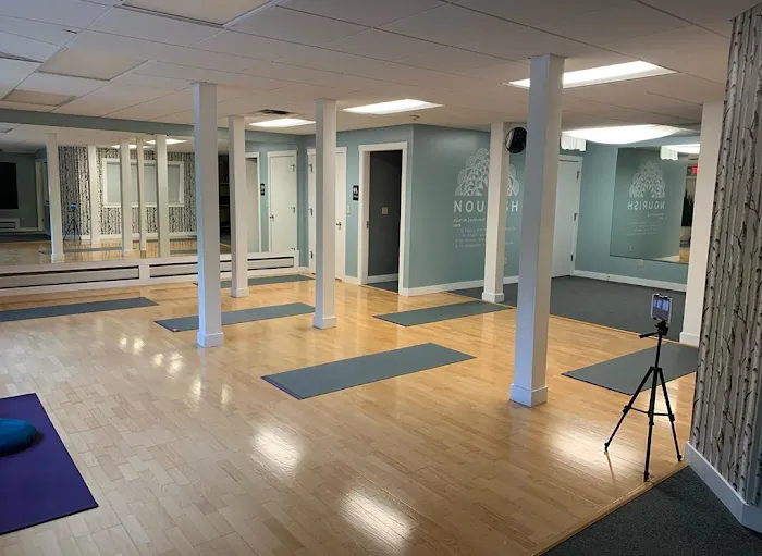Nourish BodyMindSoul: A Classical Yoga Studio and Yoga Therapy Collective Picture 6