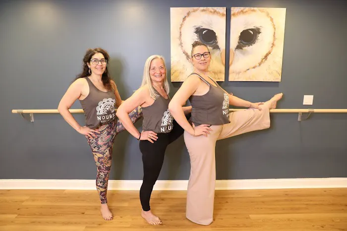 Nourish BodyMindSoul: A Classical Yoga Studio and Yoga Therapy Collective Picture 1