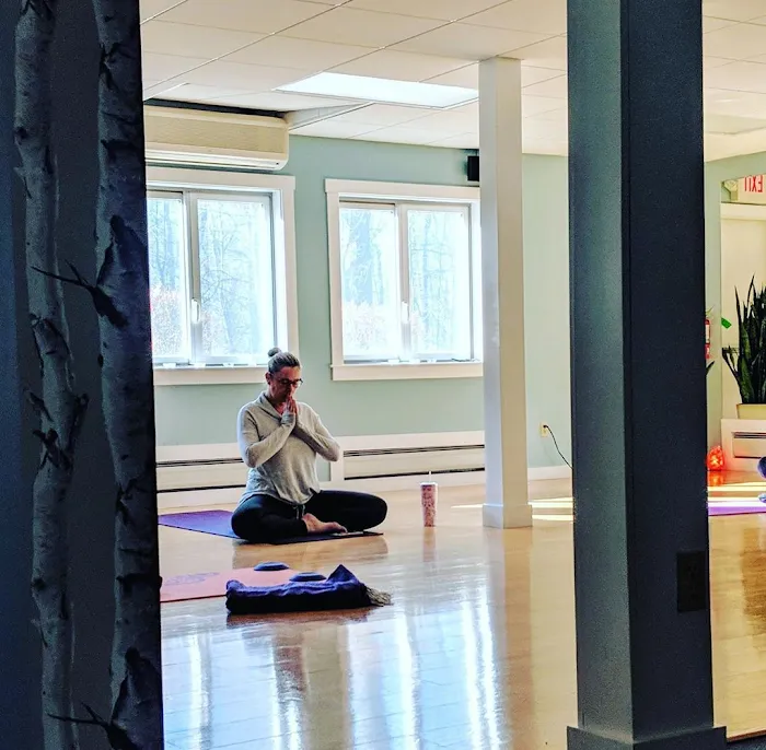 Nourish BodyMindSoul: A Classical Yoga Studio and Yoga Therapy Collective Picture 7
