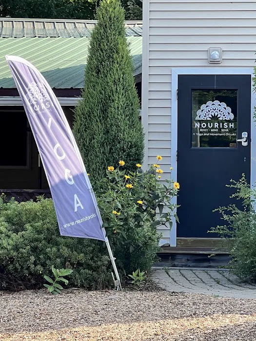 Nourish BodyMindSoul: A Classical Yoga Studio and Yoga Therapy Collective Picture 5