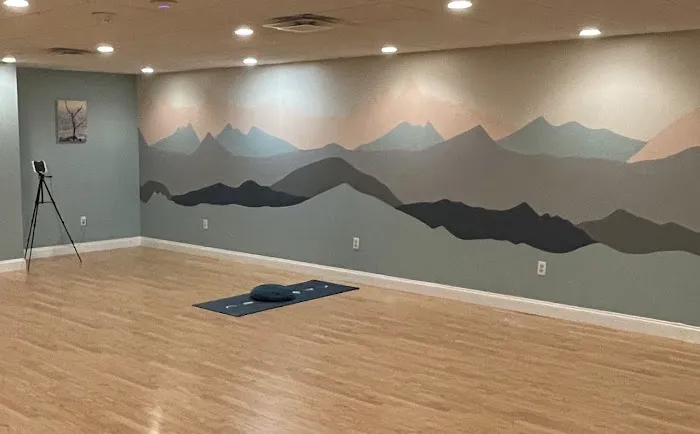 Nourish BodyMindSoul: A Classical Yoga Studio and Yoga Therapy Collective Picture 9