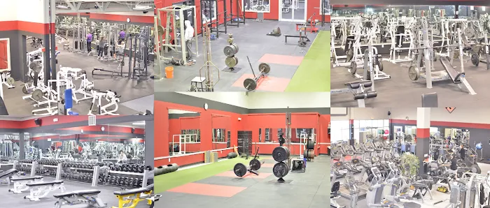 The Fitness Factory Picture 6