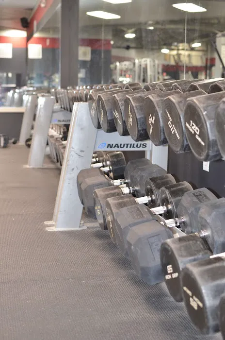 The Fitness Factory Picture 1