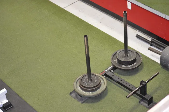 The Fitness Factory Picture 9