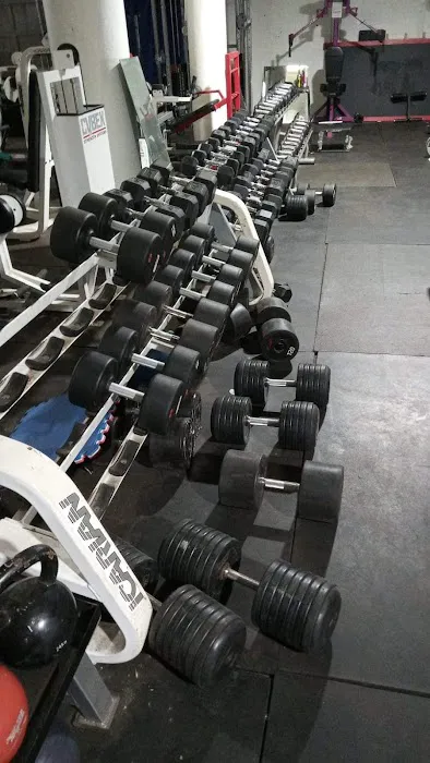Pro Wrestling Combine Picture 2