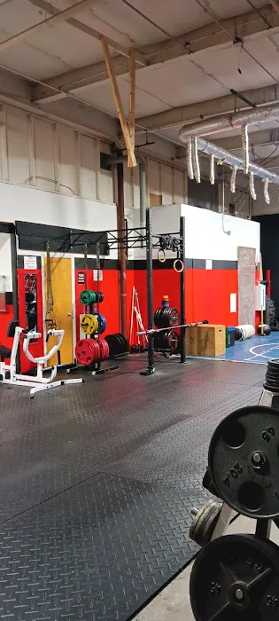 Warriors Training Picture 1