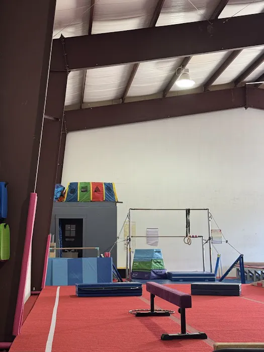 Aries Gymnastics Picture 5