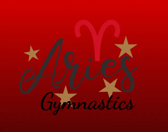 Aries Gymnastics Picture 7