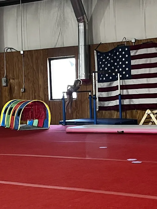 Aries Gymnastics Picture 6