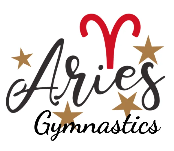 Aries Gymnastics Picture 3