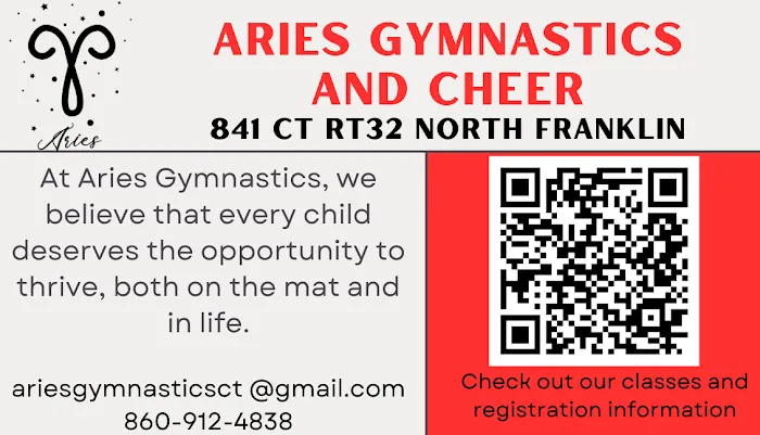 Aries Gymnastics Picture 1