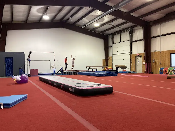 Aries Gymnastics Picture 2