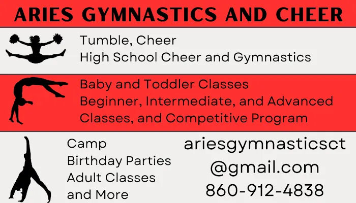 Aries Gymnastics Picture 8